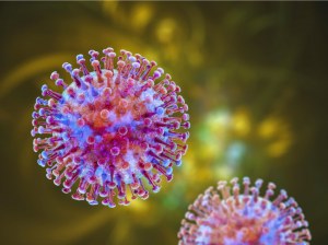 Neueste Erkenntnisse über das humane Metapneumovirus (HMPV) für Ihre Forschungsbedürfnisse