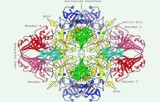 Ensayo de actividad de la galactosidasa