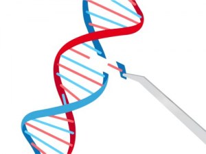 Sistemas CRISPR-Cas: revolucionando la tecnología de edición del genoma