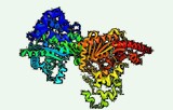 Test d'activité de la créatine kinase