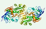 Test d'activité de la déshydrogénase