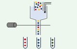 Cytométrie en flux 