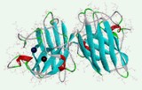 Test d'activité de la superoxyde dismutase