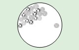 Apoptosis assays