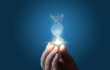 CRISPR/Cas Technology