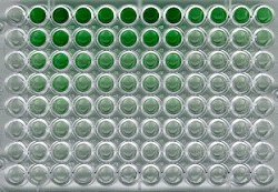 Antibody validation in ELISA