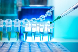 qPCR per la diagnostica