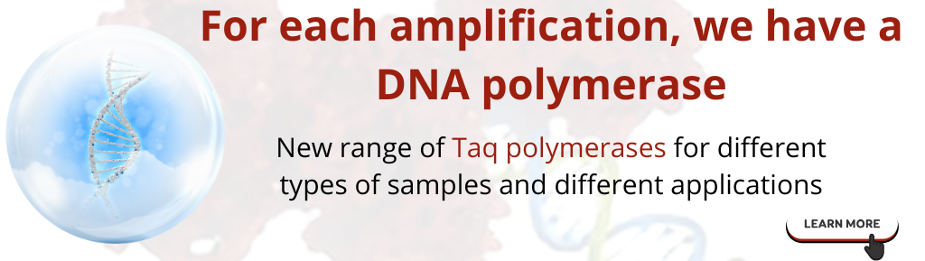 DNA polymerases