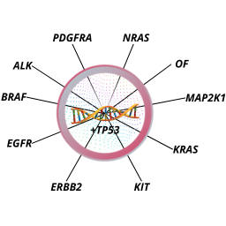 /upload/placeholder-clinisciences-3-hqxzgd.png